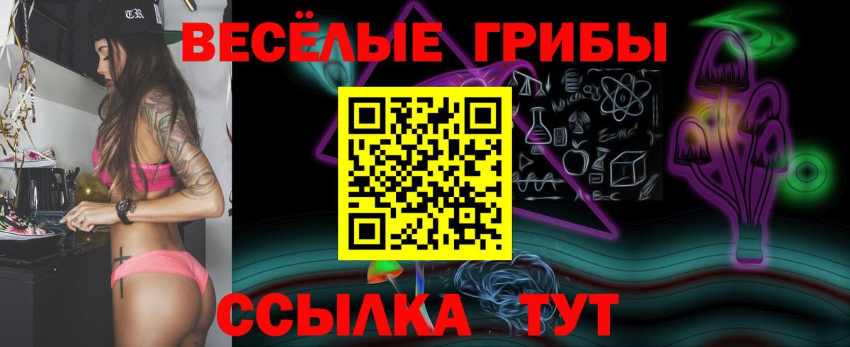 Сланцы  Псилоцибиновые грибы мицелий  Вход с VPN 